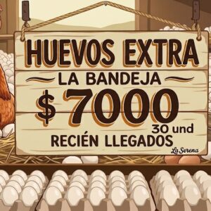 HUEVOS EXTRA
